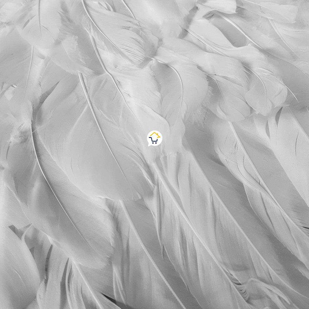 Miniatura 2 de Alas Angel Grande Pluma Halloween AF483G